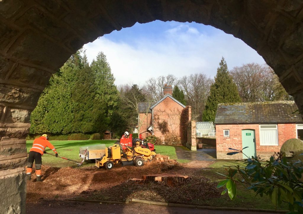 Stump Grinding Sheffield Tree Care Ltd