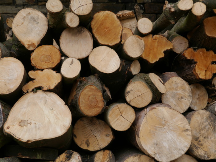 Hardwood Logs - Sheffield Tree Care Ltd